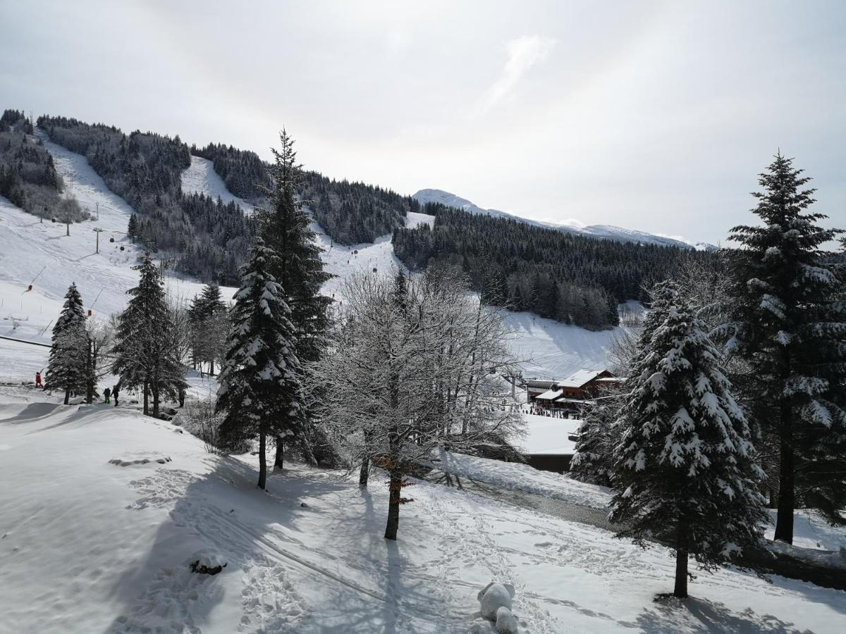 Le Balcon De Villard Exteriör bild